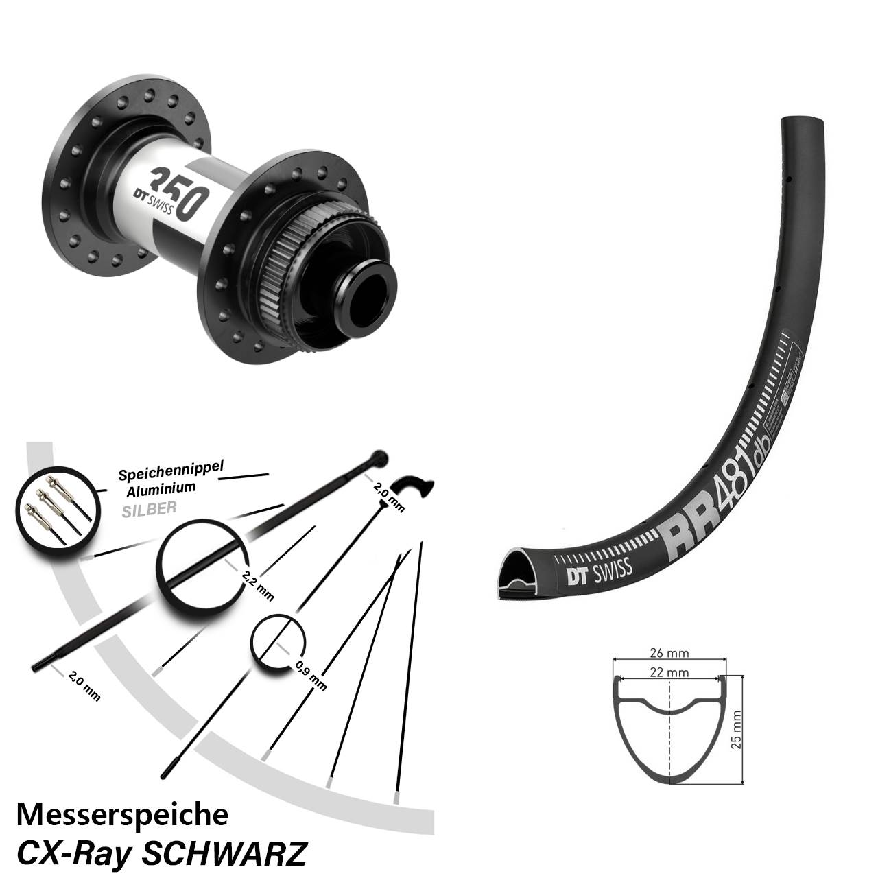 28 Zoll DT Swiss RR 481-350 Road Disc Laufrad 12x100 CX-Ray