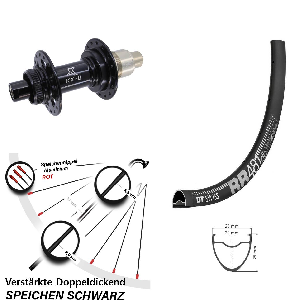 Hinterrad Centerlock 28 Zoll DT Swiss RR481 KX-B XD 12x148