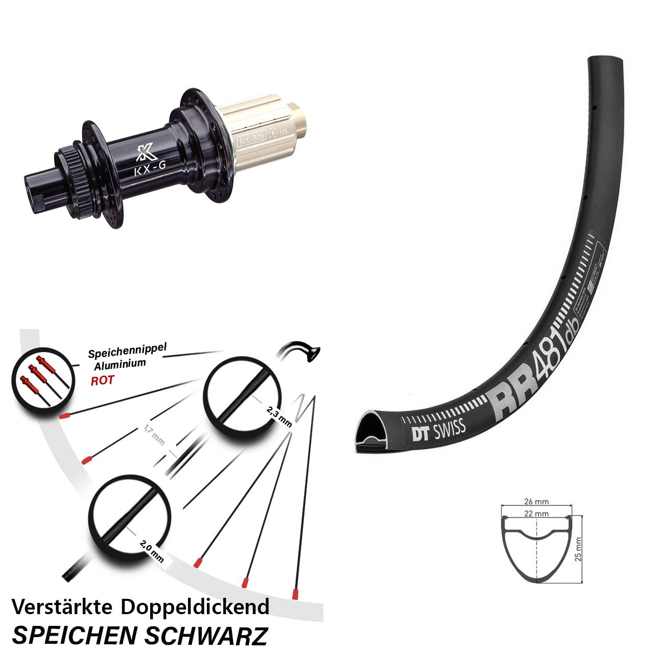 28 Zoll Hinterrad DT Swiss RR481 KX-G 8-12 fach