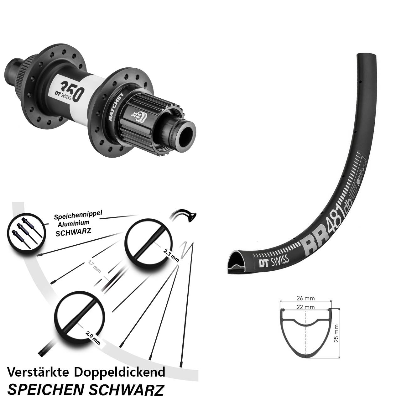 Disc Hinterrad 28 Zoll DT Swiss RR481-350 Ratchet 36 Shimano Micro Spline 12x142
