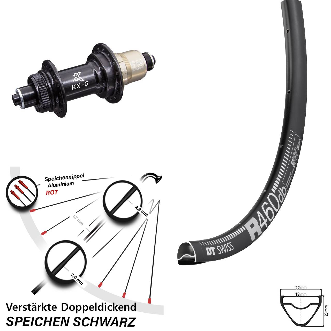 Centerlock Hinterrad QR 28 Zoll DT Swiss R 460 Disc KX-G XDR 11-12 fach
