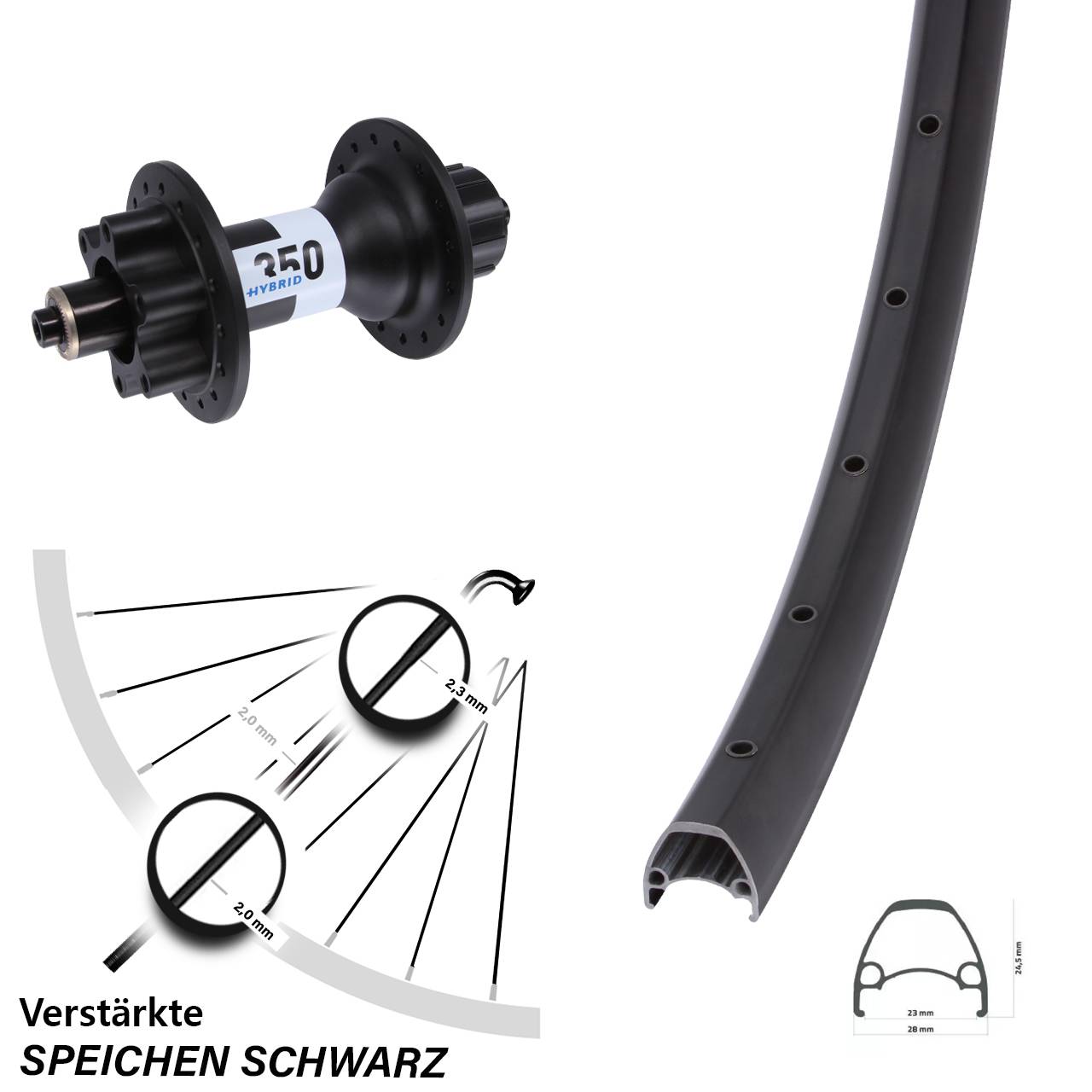 6-Loch Hinterrad 28-29 Zoll Ambrosio Sport DT Swiss 350 Hybrid Singlespeed QR